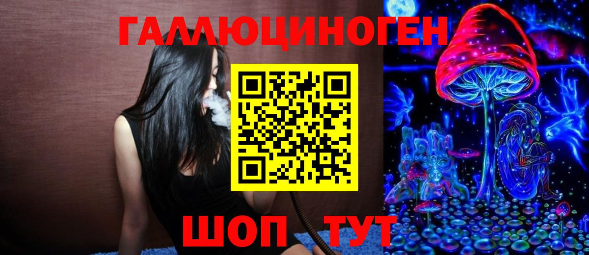 Галлюциногенные грибы Psilocybe Кудымкар
